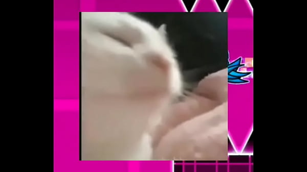 Historia de geometridash 1 1