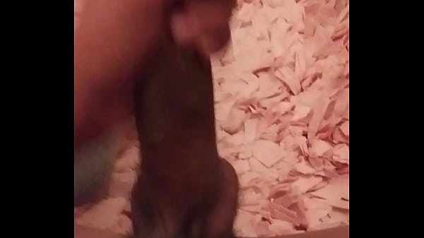 Play MP4 - Adriian stroking his huge cock again