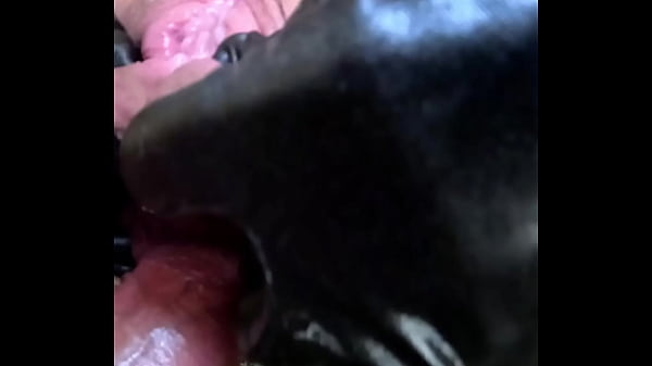 Crazywifeslut's anal deviant behavior episode 4