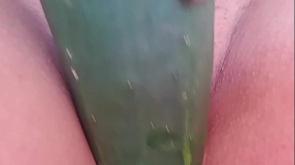Garota safada esfrega no pepino 