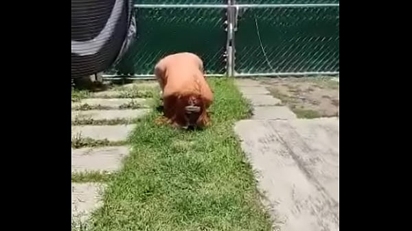 Play MP4 - Karencita exhibiendose