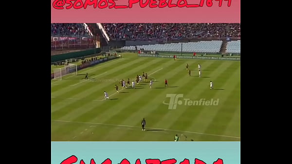 Nonton Cogida A Las Gallinas Del 13 thumbnail