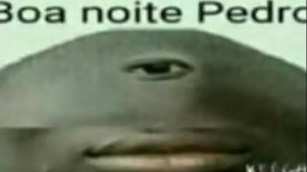 Play MP4 - V&iacute;deos do Carlinhos