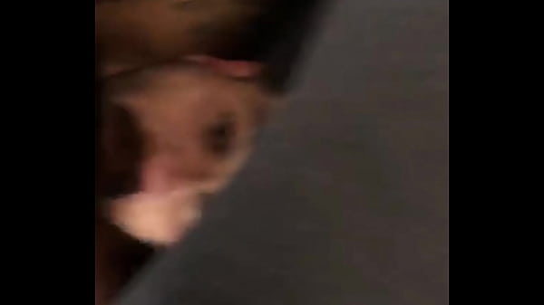 Chupando o flamenguista 