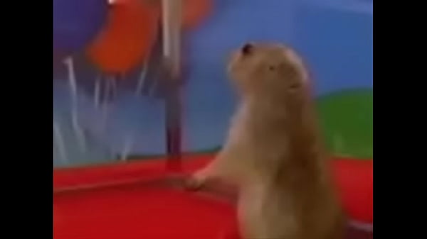 Nonton Tp&acute;tp&acute;tpt&acute;dsad thumbnail