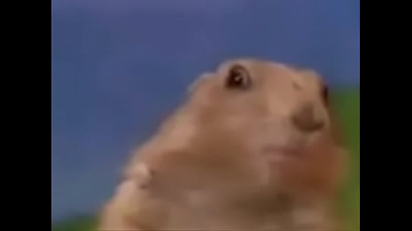 Tp&acute;tp&acute;tpt&acute;dsad 