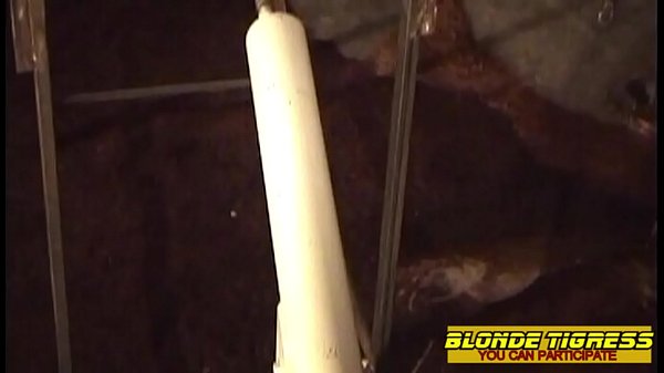 2amateur dominas share their anal slave