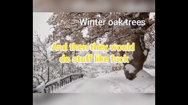 I woke up to ugly brown winter trees ratchet 