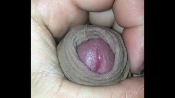 Meu pau para voc&ecirc; 