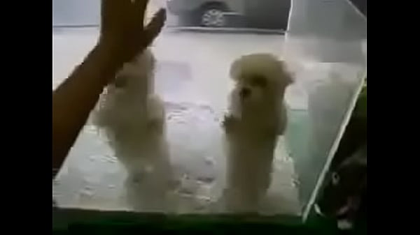 &eth;&ordm;&ntilde;&fnof;&eth;&acute;&ntilde;&euro;&ntilde;&eth;&sup2;&ntilde;&lsaquo;&eth;&micro; &ntilde;&sbquo;&eth;&deg;&eth;&frac12;&ntilde;&dagger;&ntilde;&lsaquo; 