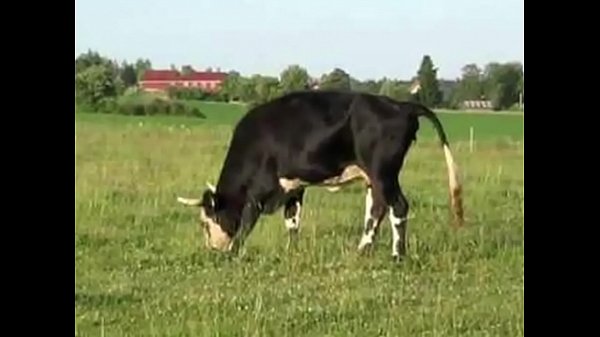 Sudden Dream (censored version)