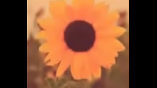 perritacantando semi desnuda