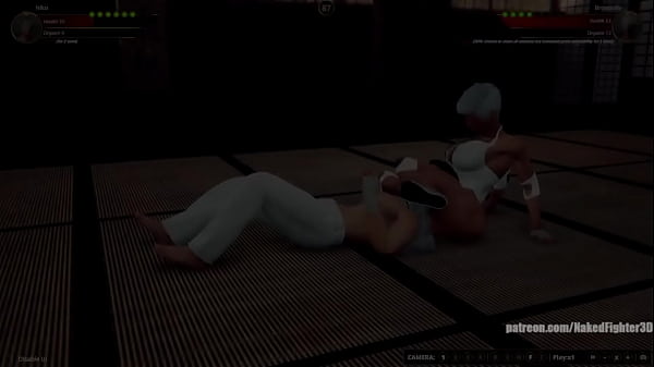 Niko_VS Broadzilla Naked Fighter 3D