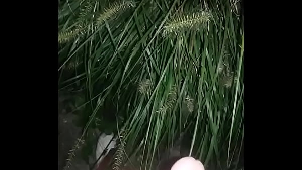 Nonton When Nature Calls thumbnail