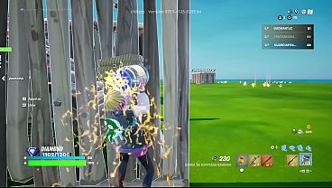 Pobre cachorrita es detonada le termina todo en la carita 