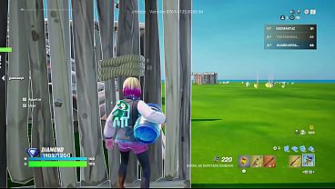 Pobre cachorrita es detonada le termina todo en la carita 