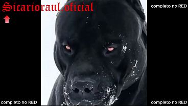 Nonton Compilado M&eacute;gane Gostosas thumbnail