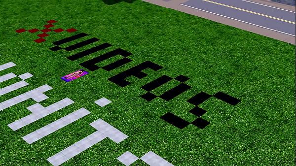 The sims 3