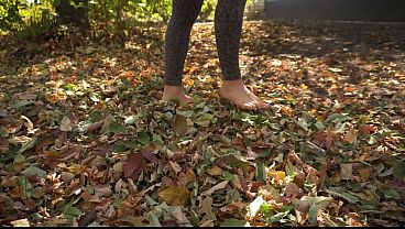 Play MP4 - Leaves Crunching Underfoot ASMR