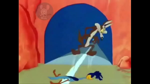 Coyote Finalmente pega o Papaléguas