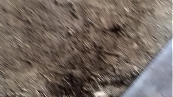 trim.DCC1839C-8753-4D65-95CE-40D40B7C89B5.MOV 