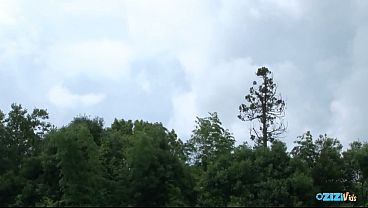 Nonton The Weather Was Pleasant, And Several Individuals Were Anticipating Vigorous Sexual Encounters. thumbnail