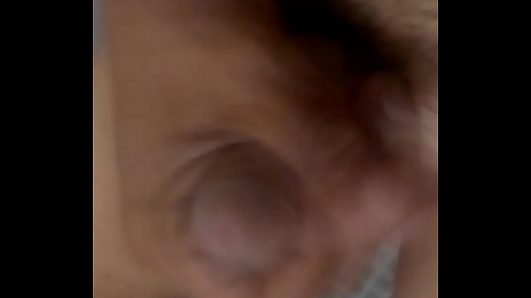 Pɑʀtɛ 1 ɱɛxicɑɳѳ; ʝɑʆɑɳɗѳɱɛ ʆɑ ѵɛʀgɑ ɓiɛɳ ʀicѳ 