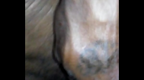 Play MP4 - 20160319 100438