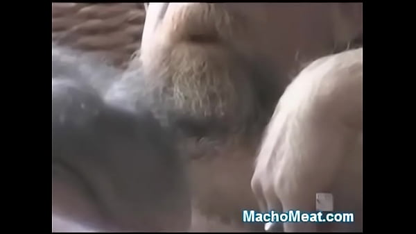 Guy Shoots a Load after BJ