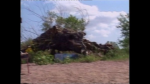 Anal Pic Nic for mym