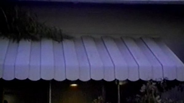 LBO - Mr. Peepers Amateur Home Video Vol79 - scene 3 