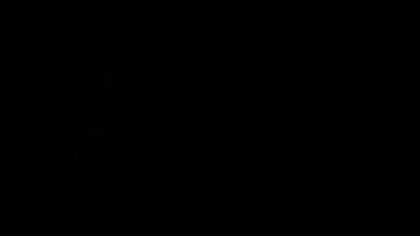 Nonton Black Girl Sucking White Cock thumbnail