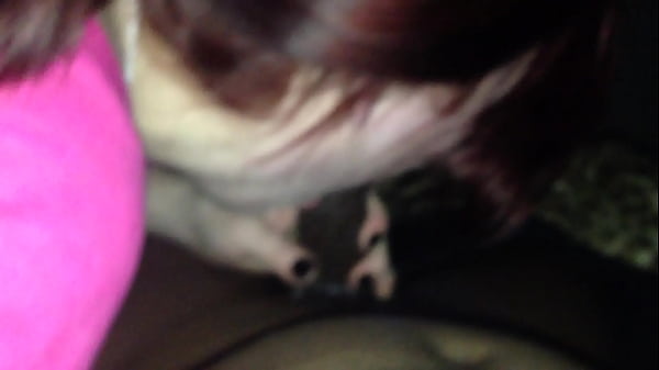 Nonton Img 4919.mov thumbnail