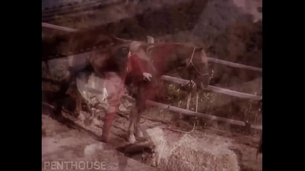 Party with the Pets - Part 1