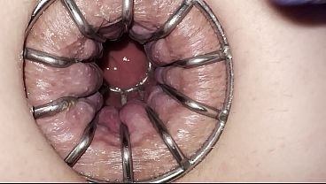 Reneenicolecd - Update #30 - Gape Anal Stretch Cage - Apr 19, 2026 thumbnail