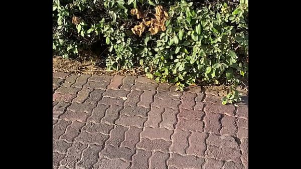 Nonton Bonjour &agrave; Tous Une Tr&egrave;s Bonne Journ&eacute;e &agrave; Vous thumbnail