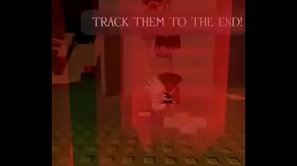 V&iacute;deo de verificaci&oacute;n 