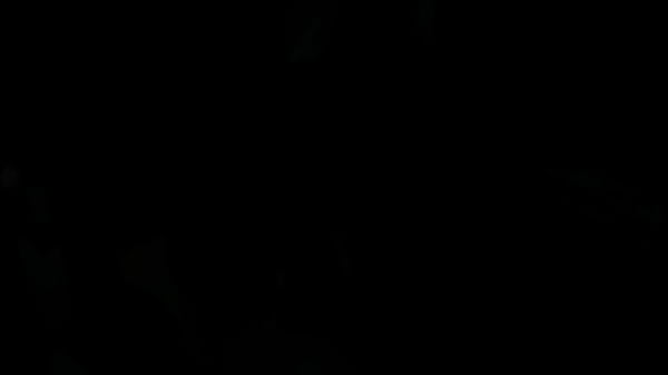 Nonton Phat Ass Roblox Slut Takes 3 Bbcs! thumbnail