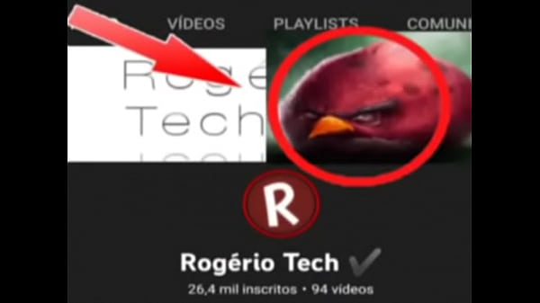 Top 5 imagens fodas de p&aacute;ssaros 