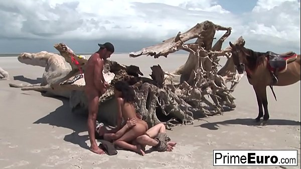 Hairy brunette Druuna takes a cock in everyhole