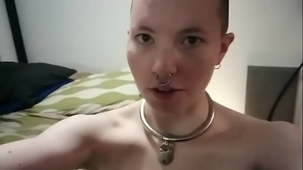 Bonus post new bed and cage tour