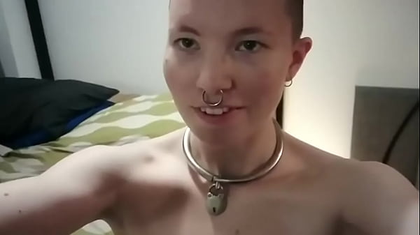 BONUS POST_New bed_and cagetour