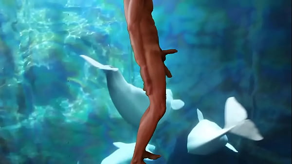 Play MP4 - Aquarium fun