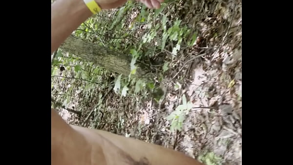 A walk in public by Nude Male, dick exposed for all to see 