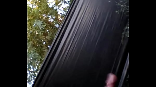 S 1920397881185009183 