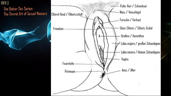 Wir werden Ihnenhelfen_Ihr Sex_Leben bedeutend_zu verbessern Seriös Professio