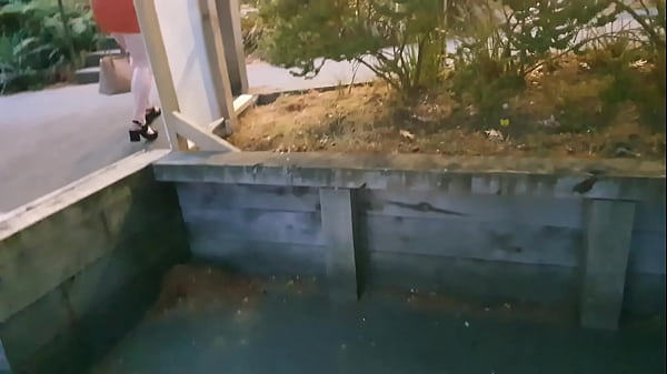 Play MP4 - NZ MILF slut pisses and pissed on in public park then walks home