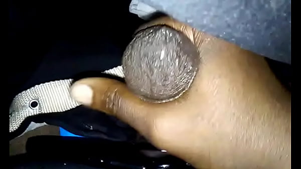 Play MP4 - mailman world