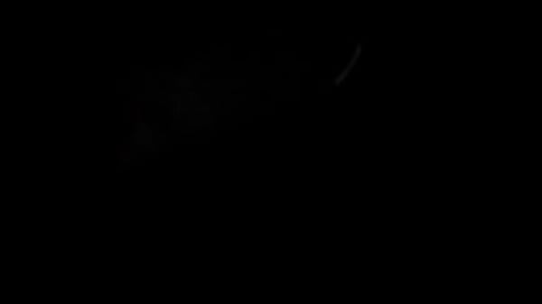 MVI 0684.MOV 