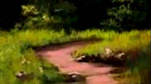 Nonton Tributo A Afrodita thumbnail